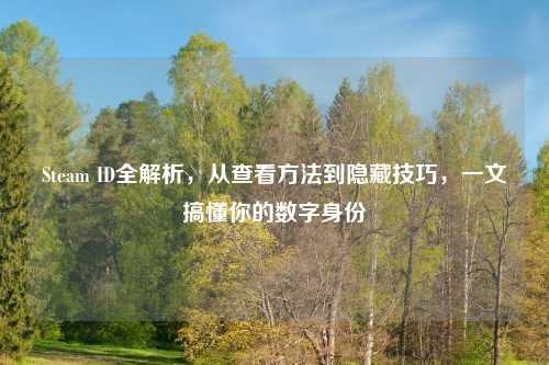 Steam ID全解析，从查看 *** 到隐藏技巧，一文搞懂你的数字身份