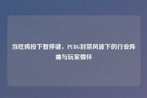 当吃鸡按下暂停键，PUBG封禁风波下的行业阵痛与玩家情怀