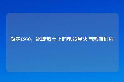 尚志CSGO，冰城热土上的电竞星火与热血征程