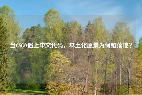 当CSGO遇上中文代码，本土化愿景为何难落地？