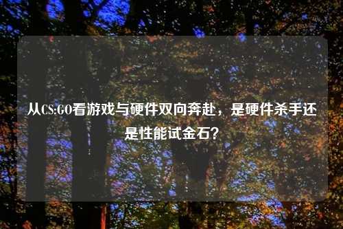 从CS:GO看游戏与硬件双向奔赴，是硬件杀手还是性能试金石？