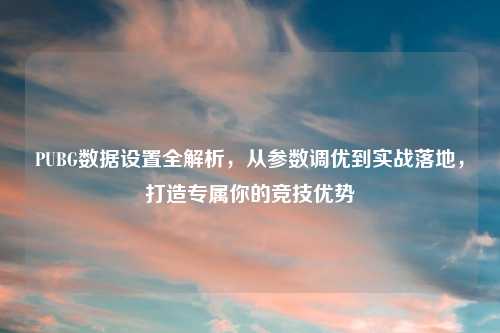 PUBG数据设置全解析，从参数调优到实战落地，打造专属你的竞技优势