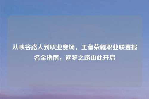 从峡谷路人到职业赛场，王者荣耀职业联赛报名全指南，逐梦之路由此开启