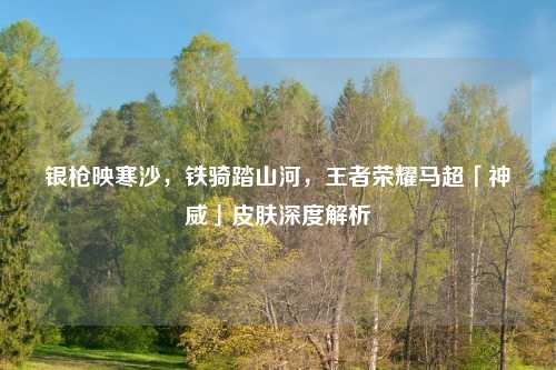 银枪映寒沙，铁骑踏山河，王者荣耀马超「神威」皮肤深度解析