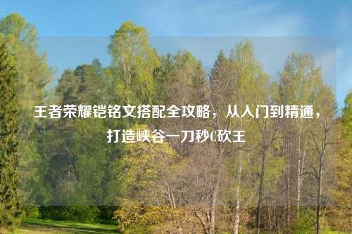 王者荣耀铠铭文搭配全攻略，从入门到精通，打造峡谷一刀秒C砍王