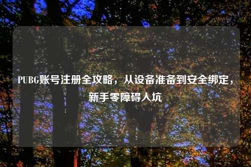 PUBG账号注册全攻略，从设备准备到安全绑定，新手零障碍入坑