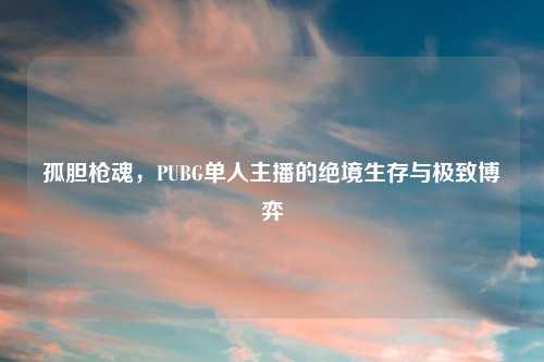 孤胆枪魂，PUBG单人主播的绝境生存与极致博弈