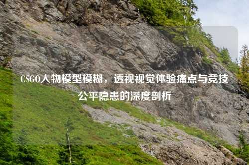 CSGO人物模型模糊，透视视觉体验痛点与竞技公平隐患的深度剖析