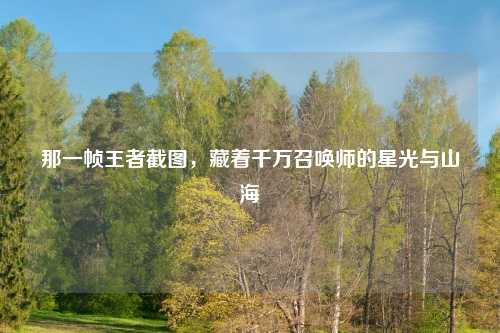 那一帧王者截图，藏着千万召唤师的星光与山海