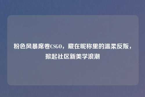 粉色风暴席卷CSGO，藏在昵称里的温柔反叛，掀起社区新美学浪潮