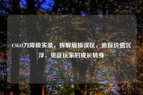 CSGO刀降级实录，拆解磨损误区，追踪价值沉浮，见证玩家的成长转身