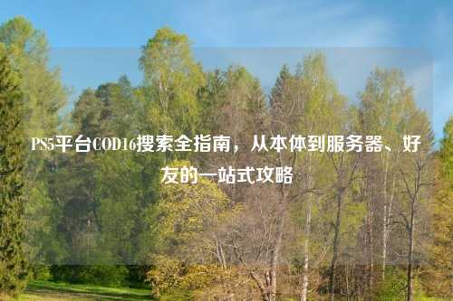 PS5平台COD16搜索全指南，从本体到服务器、好友的一站式攻略