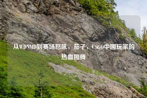 从WDNMD到赛场怒吼，茄子，CSGO中国玩家的热血图腾