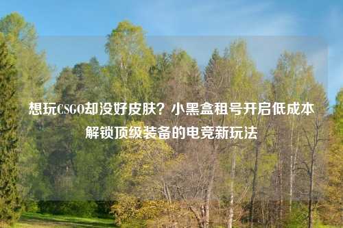 想玩CSGO却没好皮肤？小黑盒租号开启低成本解锁顶级装备的电竞新玩法