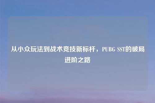 从小众玩法到战术竞技新标杆，PUBG SST的破局进阶之路