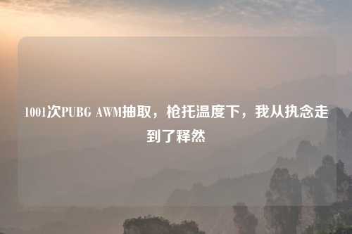1001次PUBG AWM抽取，枪托温度下，我从执念走到了释然