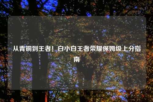 从青铜到王者！白小白王者荣耀保姆级上分指南