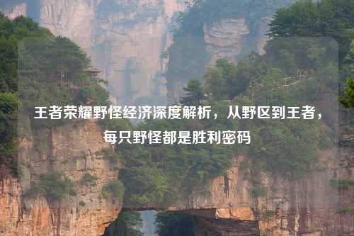 王者荣耀野怪经济深度解析，从野区到王者，每只野怪都是胜利密码