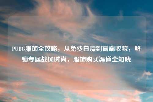 PUBG服饰全攻略，从免费白嫖到高端收藏，解锁专属战场时尚，服饰购买渠道全知晓