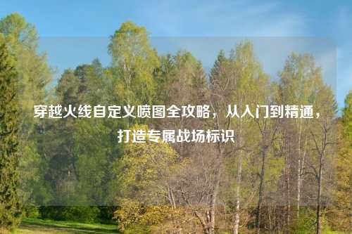 穿越火线自定义喷图全攻略，从入门到精通，打造专属战场标识