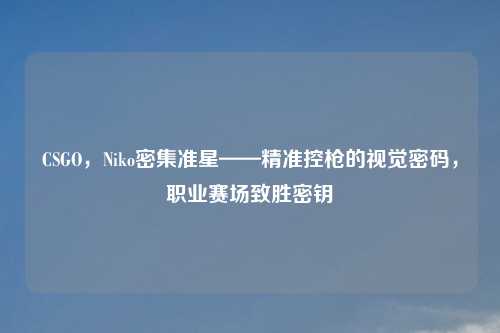 CSGO，Niko密集准星——精准控枪的视觉密码，职业赛场致胜密钥