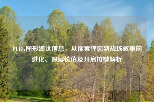 PUBG图形淘汰信息，从像素弹窗到战场叙事的进化、深层价值及开启按键解析