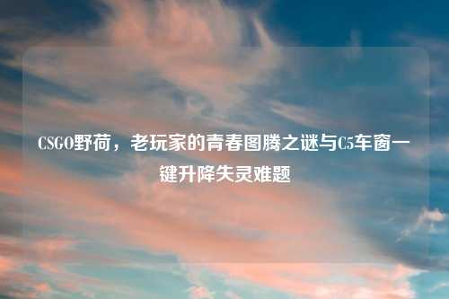 CSGO野荷，老玩家的青春图腾之谜与C5车窗一键升降失灵难题