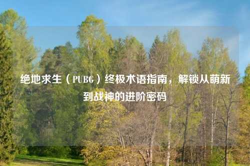 绝地求生（PUBG）终极术语指南，解锁从萌新到战神的进阶密码