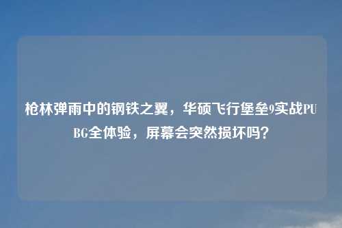 枪林弹雨中的钢铁之翼，华硕飞行堡垒9实战PUBG全体验，屏幕会突然损坏吗？