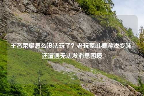 王者荣耀怎么没法玩了？老玩家吐槽游戏变味，还遭遇无法发消息困境