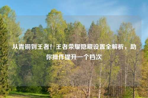 从青铜到王者！王者荣耀隐藏设置全解析，助你操作提升一个档次
