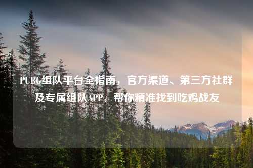 PUBG组队平台全指南，官方渠道、第三方社群及专属组队APP，帮你精准找到吃鸡战友