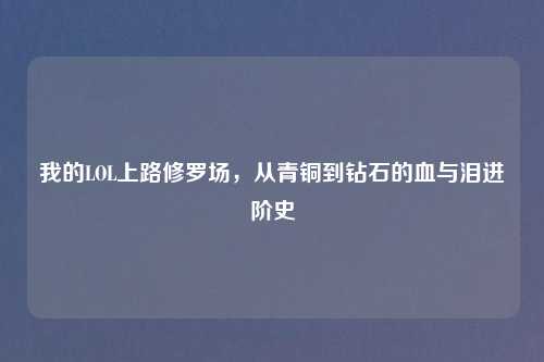 我的LOL上路修罗场，从青铜到钻石的血与泪进阶史