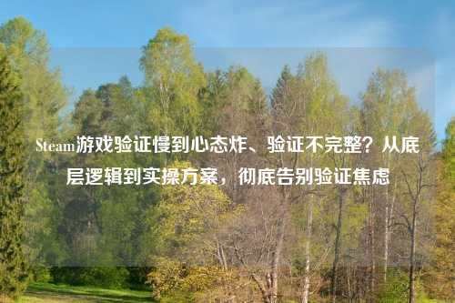 Steam游戏验证慢到心态炸、验证不完整？从底层逻辑到实操方案，彻底告别验证焦虑