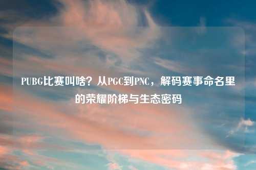 PUBG比赛叫啥？从PGC到PNC，解码赛事命名里的荣耀阶梯与生态密码