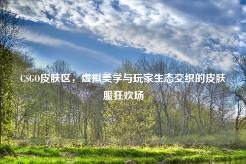 CSGO皮肤区，虚拟美学与玩家生态交织的皮肤服狂欢场