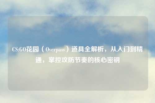 CS:GO花园（Overpass）道具全解析，从入门到精通，掌控攻防节奏的核心密钥