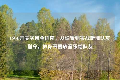 CSGO开麦实用全指南，从设置到实战听清队友指令，教你开麦放音乐给队友