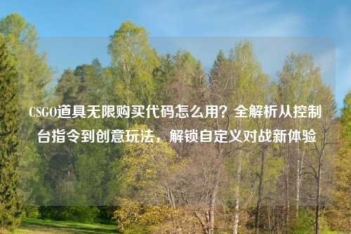 CSGO道具无限购买代码怎么用？全解析从控制台指令到创意玩法，解锁自定义对战新体验
