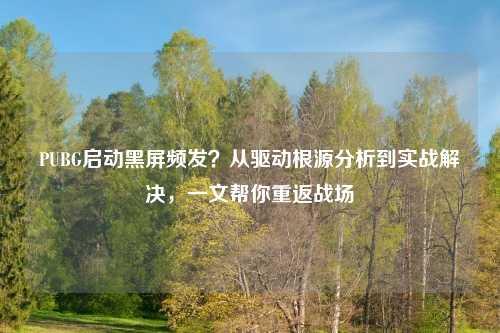 PUBG启动黑屏频发？从驱动根源分析到实战解决，一文帮你重返战场