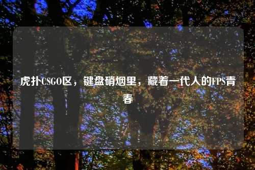 虎扑CSGO区，键盘硝烟里，藏着一代人的FPS青春