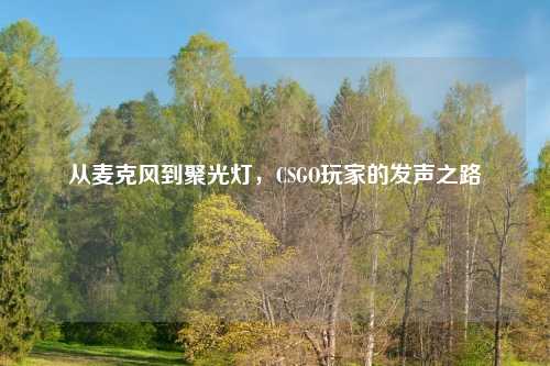 从麦克风到聚光灯，CSGO玩家的发声之路