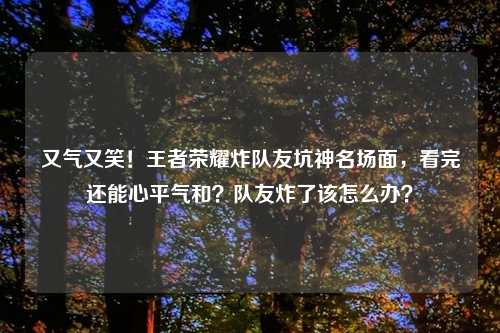 又气又笑！王者荣耀炸队友坑神名场面，看完还能心平气和？队友炸了该怎么办？