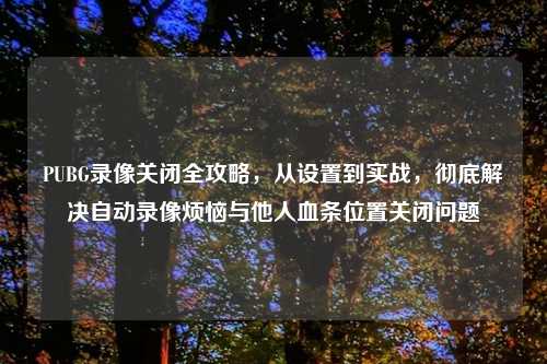 PUBG录像关闭全攻略，从设置到实战，彻底解决自动录像烦恼与他人血条位置关闭问题