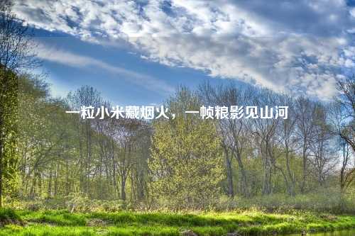 一粒小米藏烟火，一帧粮影见山河