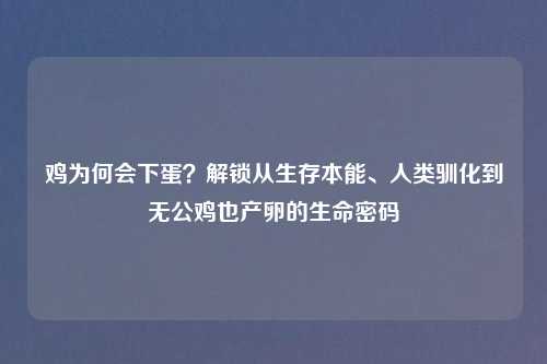 鸡为何会下蛋？解锁从生存本能、人类驯化到无公鸡也产卵的生命密码