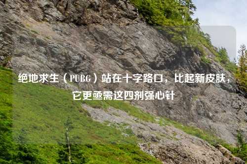 绝地求生（PUBG）站在十字路口，比起新皮肤，它更亟需这四剂强心针