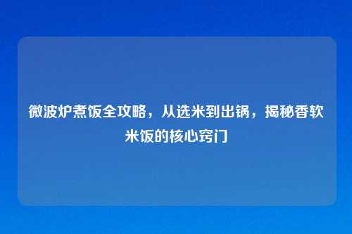 微波炉煮饭全攻略,从选米到出锅,揭秘香软米饭的核心窍门