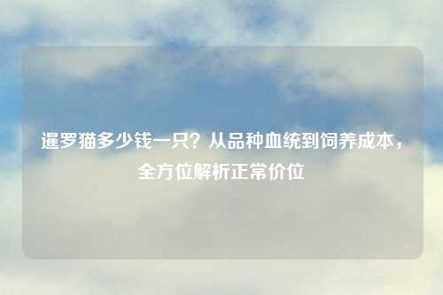 暹罗猫多少钱一只？从品种血统到饲养成本，全方位解析正常价位