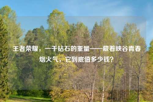 王者荣耀，一千钻石的重量——藏着峡谷青春烟火气，它到底值多少钱？